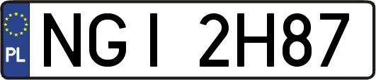 NGI2H87