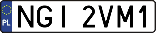 NGI2VM1