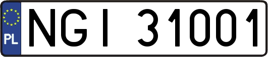 NGI31001