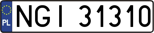 NGI31310