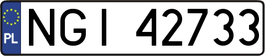 NGI42733