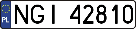 NGI42810