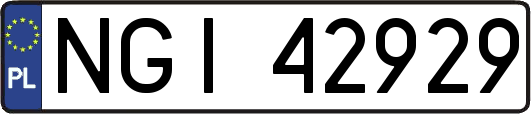 NGI42929