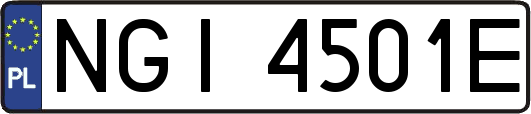 NGI4501E