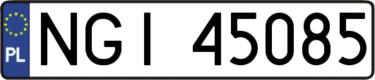 NGI45085