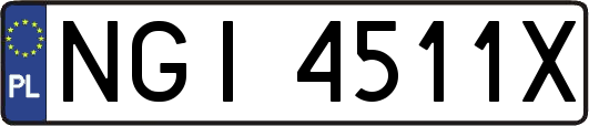 NGI4511X