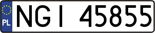 NGI45855