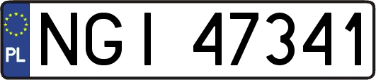 NGI47341