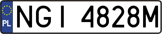 NGI4828M