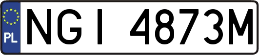 NGI4873M