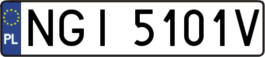 NGI5101V
