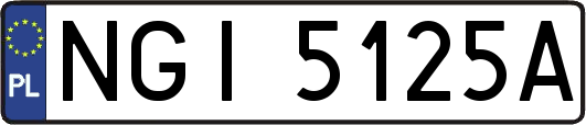 NGI5125A