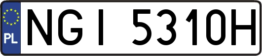 NGI5310H