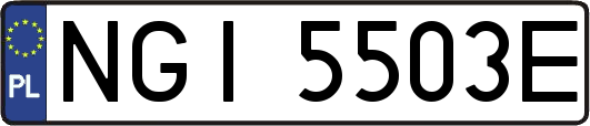 NGI5503E