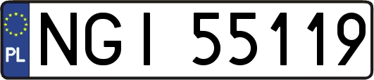 NGI55119