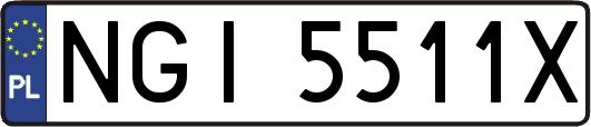 NGI5511X