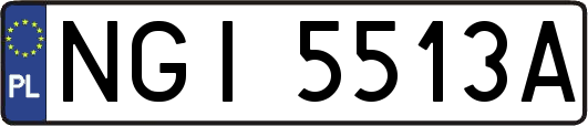 NGI5513A