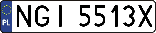 NGI5513X