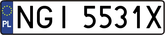 NGI5531X