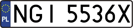 NGI5536X