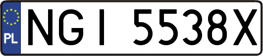NGI5538X