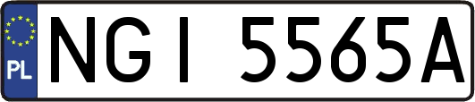 NGI5565A