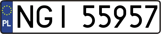 NGI55957