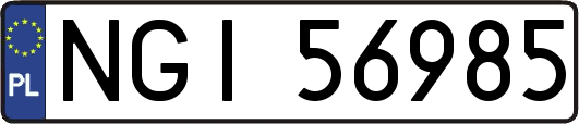 NGI56985