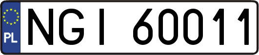 NGI60011