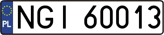 NGI60013