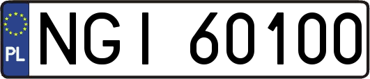 NGI60100