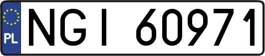 NGI60971