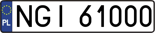 NGI61000