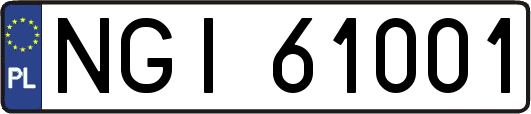NGI61001