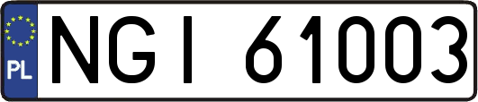 NGI61003