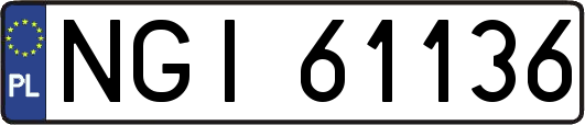 NGI61136