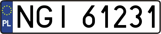 NGI61231