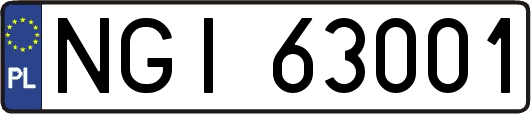 NGI63001