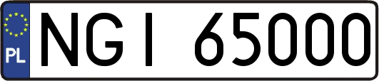 NGI65000