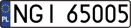 NGI65005