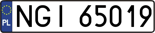 NGI65019
