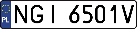 NGI6501V