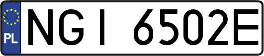 NGI6502E