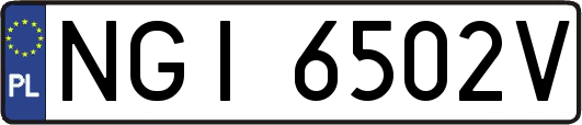 NGI6502V