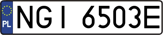 NGI6503E