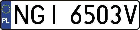 NGI6503V