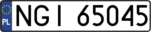 NGI65045