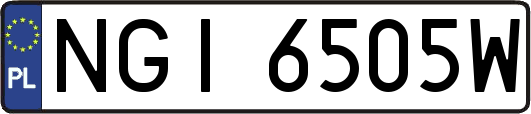 NGI6505W