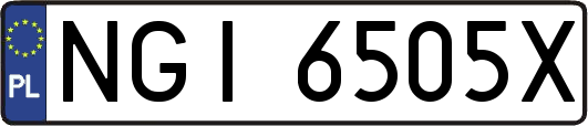 NGI6505X