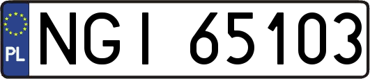 NGI65103